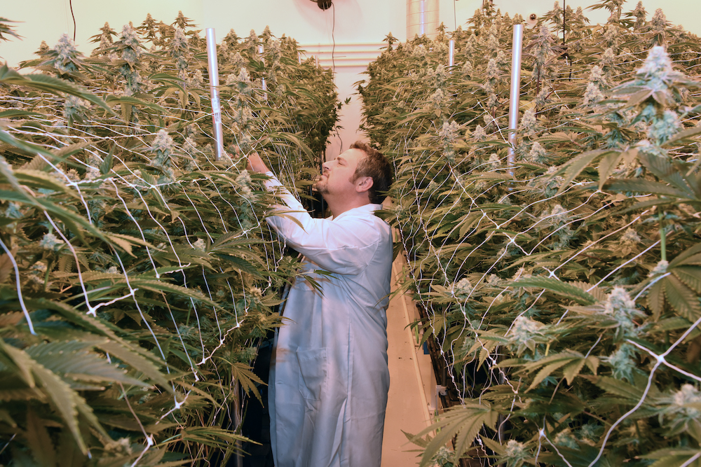 Grow Sciences - Arizona