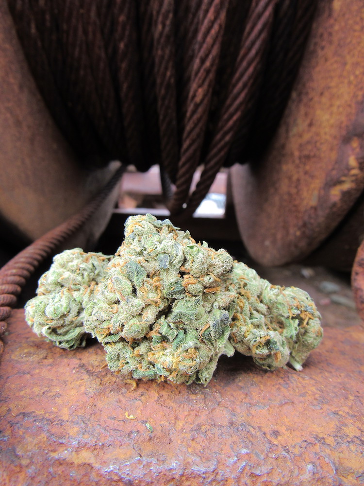 Death Star by The Giving Tree