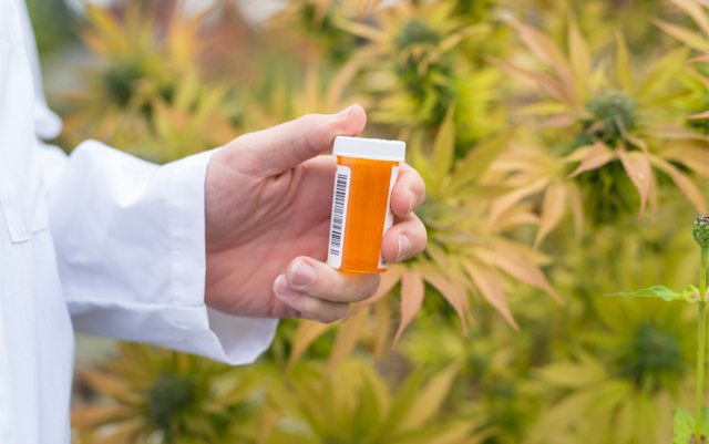 is-MMJ-denial-the-new-flat-earth