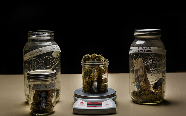 michigan-sees-shortage-of-MMJ-so-unlicensed-dispensaries-are-reopened